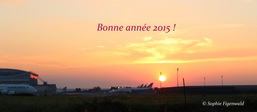 Bonne année 2015